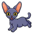 Cute peterbald cat cartoon jumping