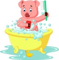 Cute pig bathing time Royalty Free Stock Photo