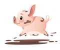 Cute pig. Cartoon character design. Running little pig in mud. Flat vector illustration isolated on white background