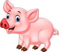 Cute pig cartoon Royalty Free Stock Photo