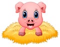 Cute pig cartoon in the nest