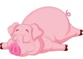 Cute pig cartoon sleeping Royalty Free Stock Photo