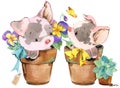 Cute pig. cartoon watercolor animal illustration. Royalty Free Stock Photo