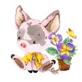 Cute pig. cartoon watercolor animal illustration. Royalty Free Stock Photo