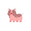 Cute pig covered in mud, cartoon flat vector illustration isolated on white background. Royalty Free Stock Photo