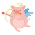 Cute Pig cupid shoots a bow.