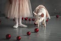 Cute pig dancing ballet with little ballerina girl Royalty Free Stock Photo