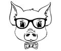 Cute pig face glasses and tie. Hipster children's t-shirt print Royalty Free Stock Photo