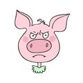 The cute pig has a angry expression Royalty Free Stock Photo