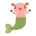 Cute pig mermaid cartoon character illustration. Royalty Free Stock Photo