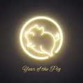 Cute pig neon logo, New year 2019 gold design, chinese horoscope