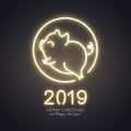 Cute pig neon logo, New year 2019 gold shiny glow design, chines