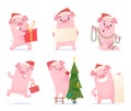 Cute pig. New year 2019 celebration cartoon mascots boar piglet hog vector characters in action poses Royalty Free Stock Photo