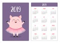 Cute pig piggy ballerina. Ballet dancer. Simple pocket calendar layout 2019 new year. Week starts Sunday. Cartoon character. Royalty Free Stock Photo