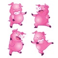 Cute pig a