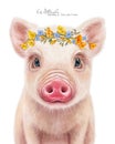 Cute pig portrait. Piggy in yellow wreath