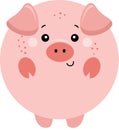 Cute pig with round body