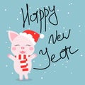 Cute pig in a scarf and hat wishes a happy new year