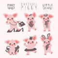 Cute pig set. Piggy girl funny, adorable collection. Graphic print set, stickers, emoji