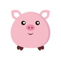 Cute pig sticker