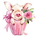 Cute pig watercolor illustration