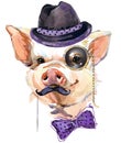 Cute pig watercolor illustration Royalty Free Stock Photo