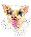 Cute pig watercolor illustration Royalty Free Stock Photo