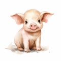 Cute Pig Watercolor Illustration On White Background