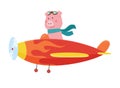 Cute pig wearing aviator goggles flying an airplane with scarf fluttering. Funny pilot flying on planes. Cartoon vector