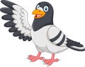 Cute Pigeon bird presenting on white background