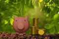 cute piggy bank and coins