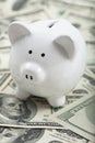 Cute Piggy Bank on heaps of cash Royalty Free Stock Photo
