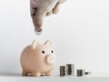 Cute piggy bank, pink color with stacks of coins isolated on white background. Royalty Free Stock Photo