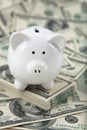 Cute Piggy Bank on a stack of cash Royalty Free Stock Photo