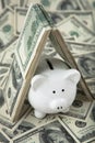 Cute Piggy Bank under shelter of cash