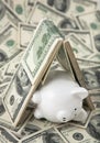 Cute Piggy Bank under shelter of cash