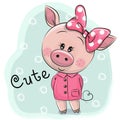 Cute Piggy girl isolated on a blue background Royalty Free Stock Photo