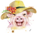 Watercolor portrait of pig with summer hat