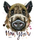 Watercolor portrait of wild boar with the inscription New Year