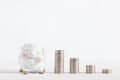 Cute Piggybank with money coins tower