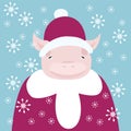 Cute piglet dressed as Santa