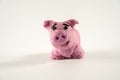 cute piglet hand crafted with soft clay play dough