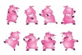 Cute pigs cartoon character cheerful funny many actions