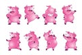 Cute pigs cartoon character cheerful funny dance many actions