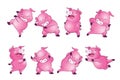 Cute pigs cartoon character cheerful funny dance many actions Royalty Free Stock Photo