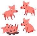 Cute pigs  character set Royalty Free Stock Photo