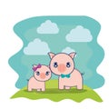 cute pigs couple characters vector illustration Royalty Free Stock Photo