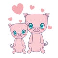 cute pigs couple characters vector illustration Royalty Free Stock Photo