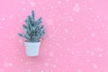 Cute pine tree in pot with snow on pink background.merry christmas and winter concepts ideas Royalty Free Stock Photo