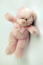 Cute pink bear